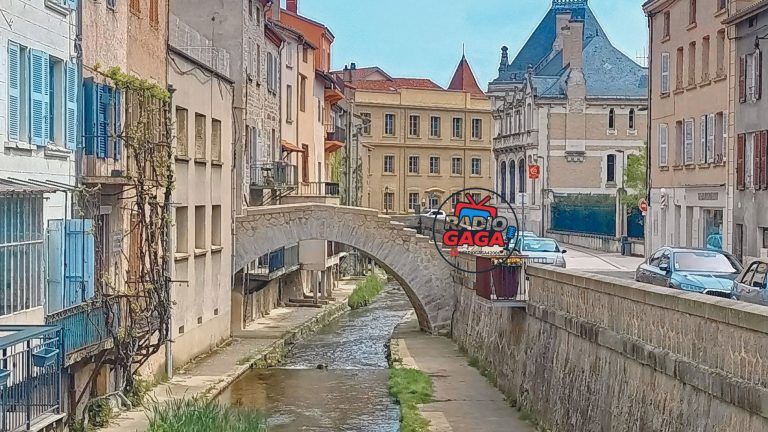 montbrison-768x432 Foire de Lyon 2026 : « Tous en scène ! » une édition festive et fédératrice pour ses 110 ans