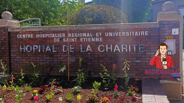 charite-768x432 Les jardins familiaux : la campagne à la ville