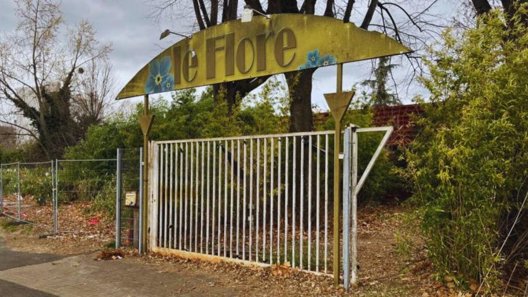 flore-768x432 Éric Moulin Zinutti : Histoire régionale, généalogie et passion d'auteur
