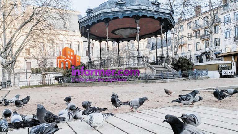 stetienne-768x432 Vague d'incendies criminels à Saint-Etienne